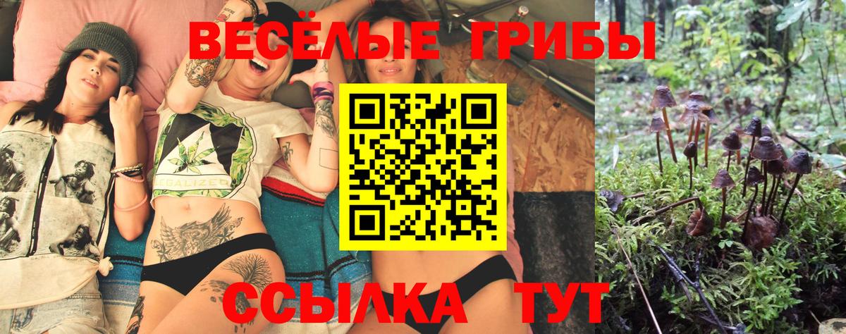 Галлюциногенные грибы Magic Shrooms  Вход с VPN  Братск  Псилоцибиновые грибы ЛСД 